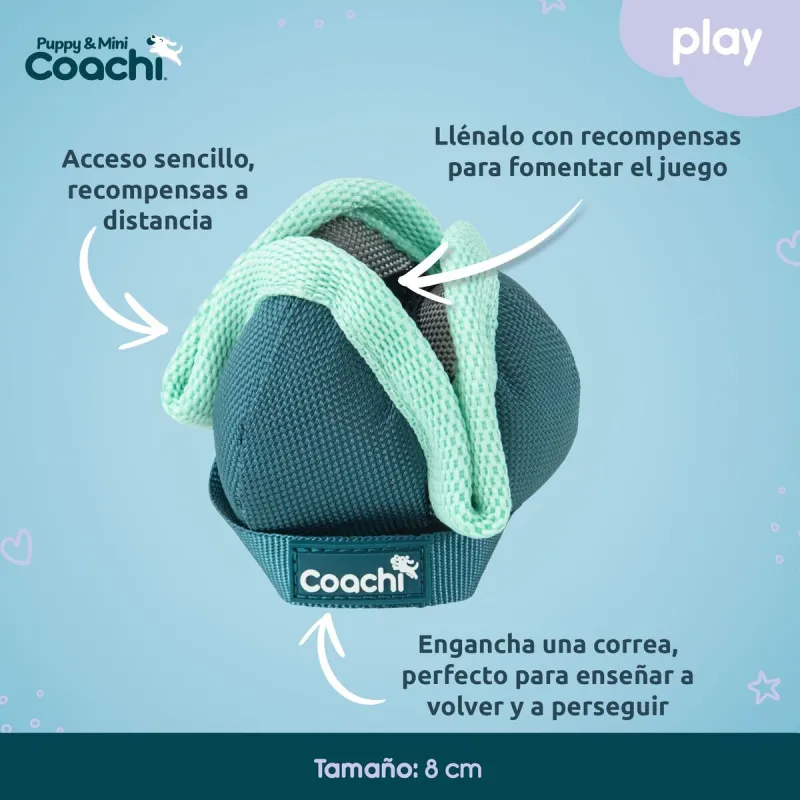 Šuns pakinktai Coachi