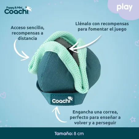 Koiran valjaat Coachi