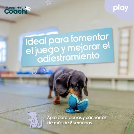 Suņu drošības siksna Coachi