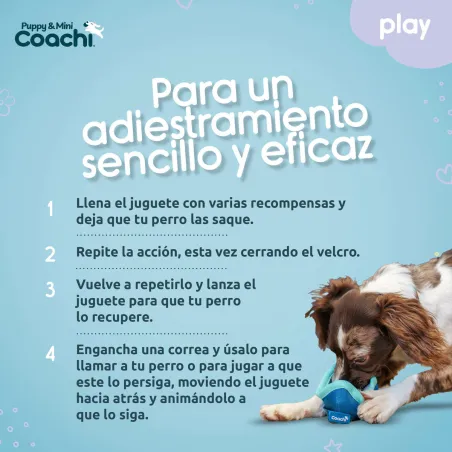 Dog Harness Coachi