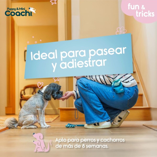 Koiran valjaat Coachi