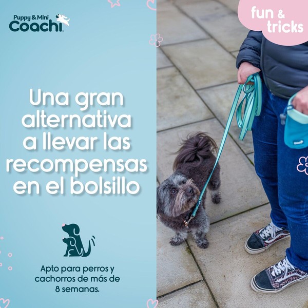Suņu drošības siksna Coachi