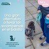 Koera rakmed Coachi