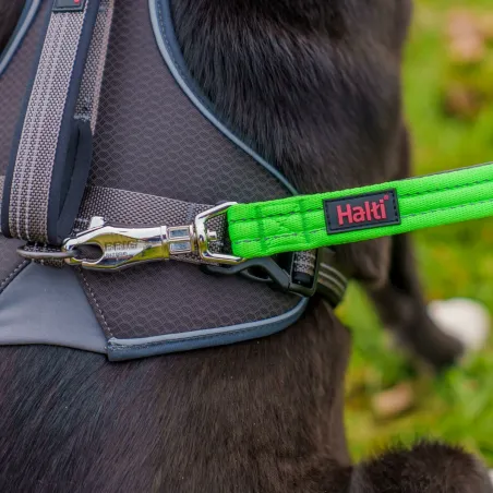 Dog Harness Company of Animals L