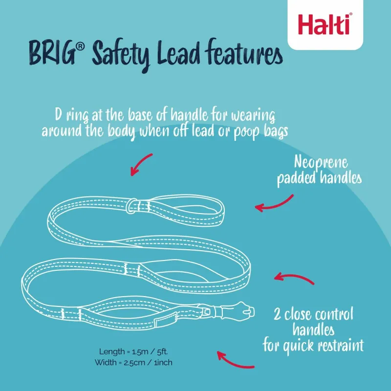 Koera rakmed Company of Animals L