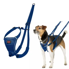 Dog Harness Company of Animals Blue 20