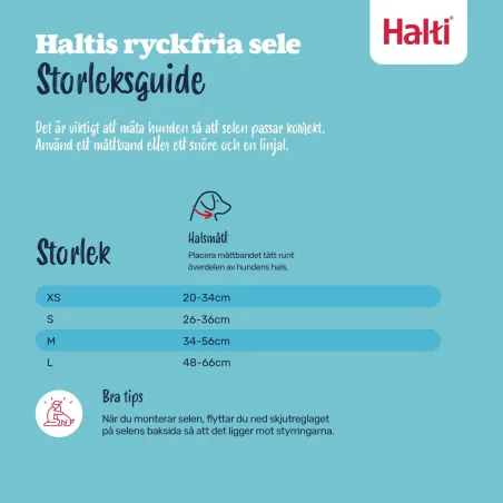 Suņu drošības siksna Company of Animals Orange 20