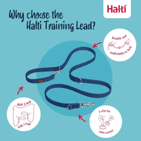 Tracking leash Company of Animals Blue