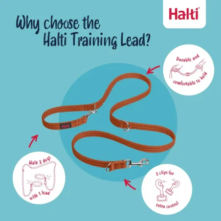 Training lead Company of Animals BURNT Orange