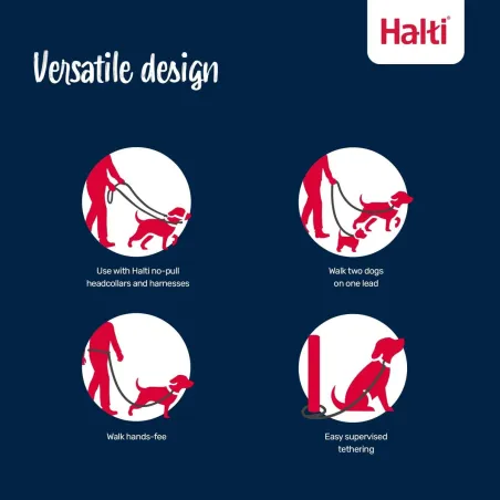 Harjoitteluhihna Company of Animals BURNT Oranssi