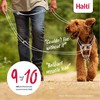 Tracking leash Company of Animals Orange