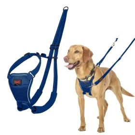 Dog Harness Company of Animals COBALT Blue 12