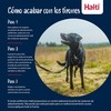 Dog Harness Company of Animals FOREST Green 20