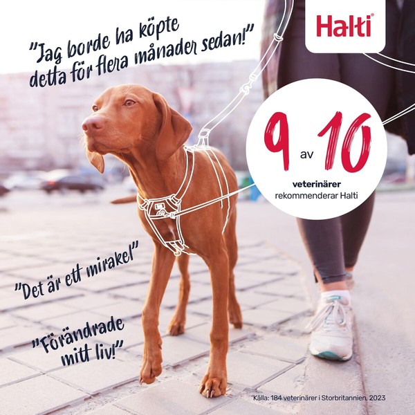 Koiran valjaat Company of Animals FOREST Vihreä 12