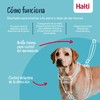 Dog Harness Company of Animals FOREST Green 12