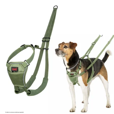 Dog Harness Company of Animals FOREST Green L