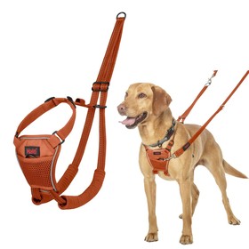Dog Harness Company of Animals BURNT Orange 12