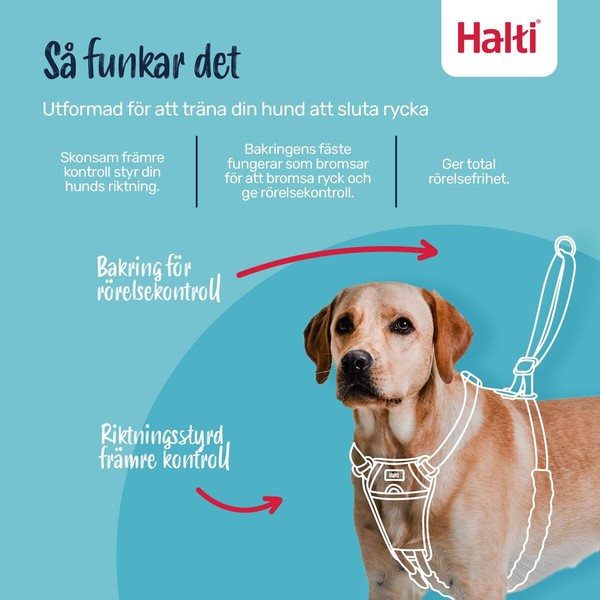 Упряжь для собак Company of Animals BURNT Оранжевый 12