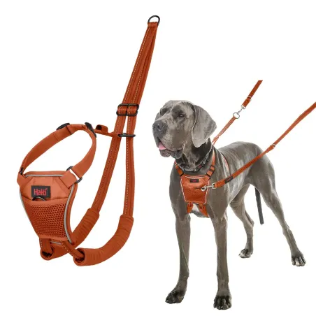 Dog Harness Company of Animals BURNT Orange L