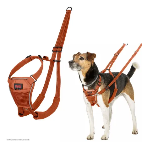 Dog Harness Company of Animals BURNT Orange L