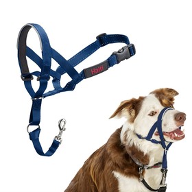 Muzzle Company of Animals COBALT Blue 2