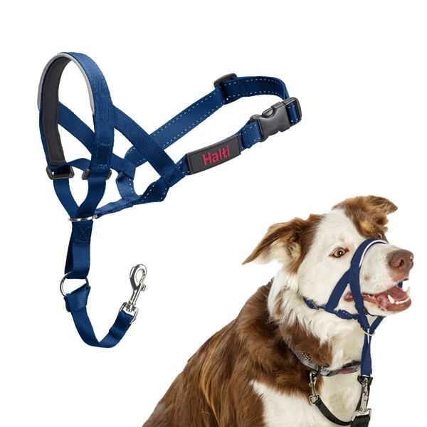 Muzzle Company of Animals COBALT Blue 2
