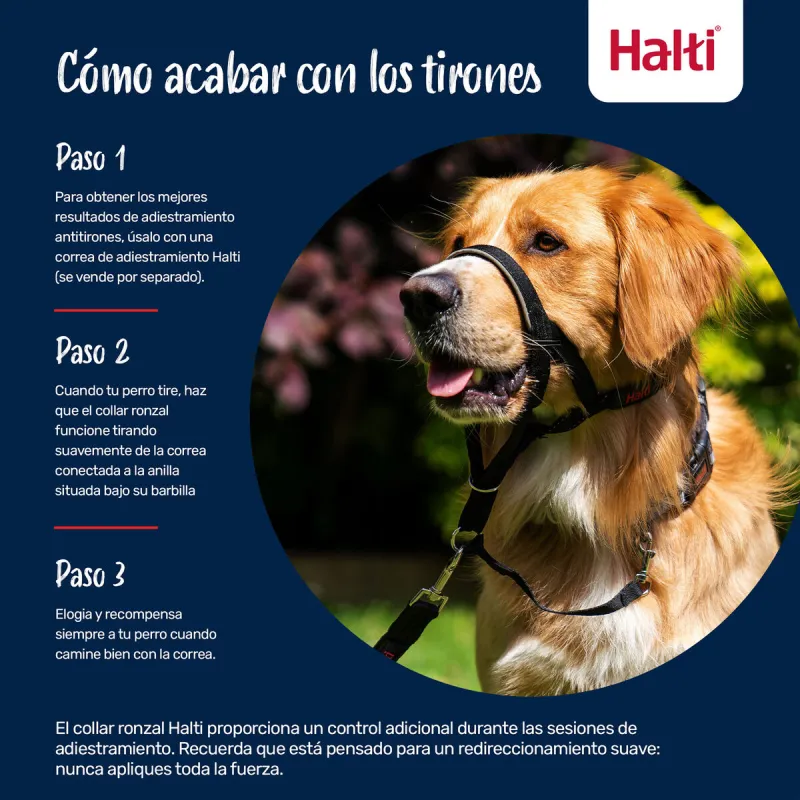 Kuonokoppa Company of Animals COBALT Sininen 3