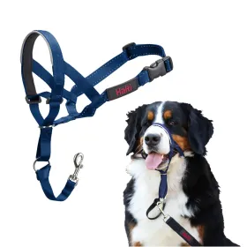 Muzzle Company of Animals COBALT Blue 4
