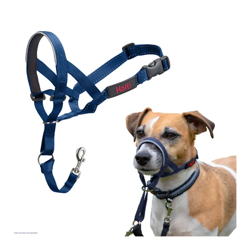 Muzzle Company of Animals COBALT Blue 4