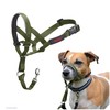 Muzzle Company of Animals FOREST Green Size 1