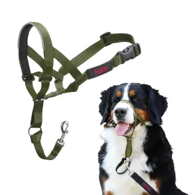 Muzzle Company of Animals FOREST Green 4