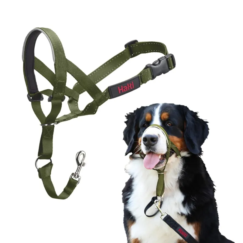 Muzzle Company of Animals FOREST Green 4