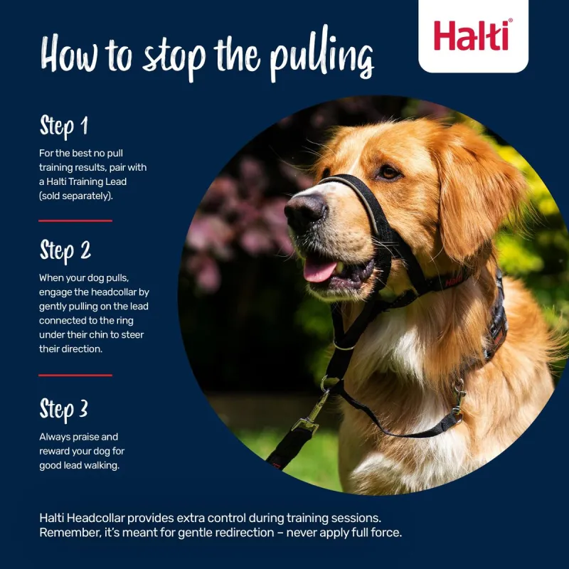 Muzzle Company of Animals FOREST Green 4