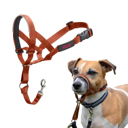 Muzzle Company of Animals BURNT Orange Size 1