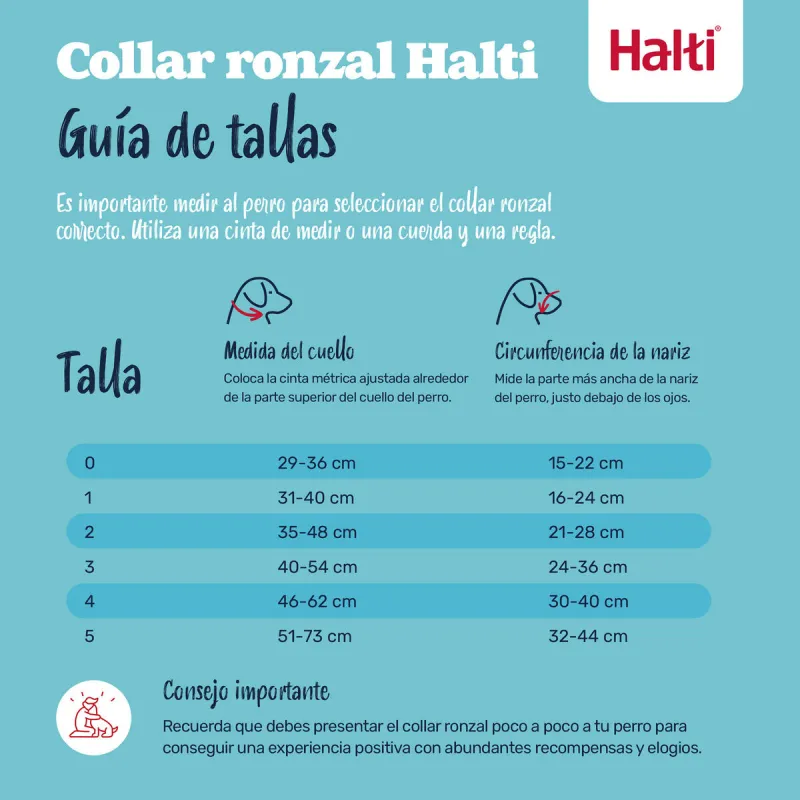 Kuonokoppa Company of Animals BURNT Oranssi Koko 1