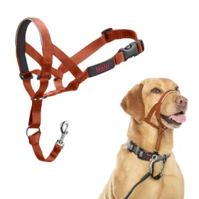 Muzzle Company of Animals BURNT Orange 3