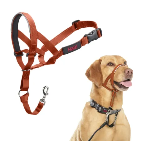 Muzzle Company of Animals BURNT Orange 3