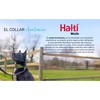 Dog collar Company of Animals Green