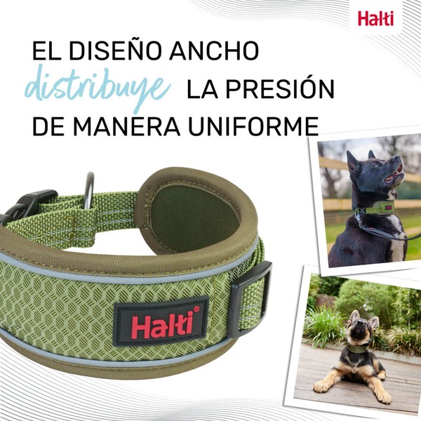 Dog collar Company of Animals Green