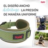 Dog collar Company of Animals Green