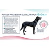 Koiran kaulapanta Company of Animals Vihreä