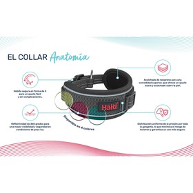 Dog collar Company of Animals Green