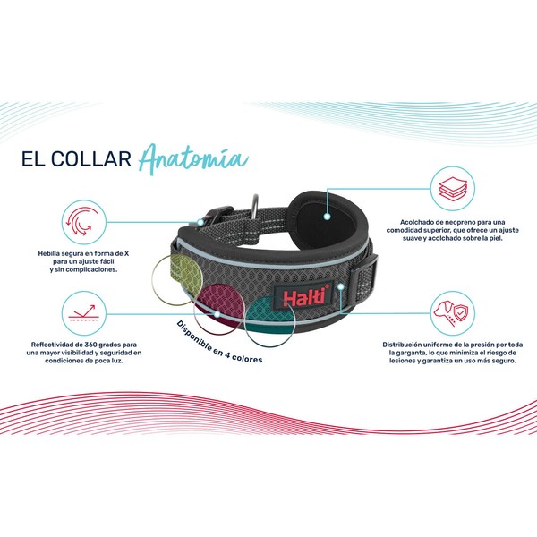 Dog collar Company of Animals Green