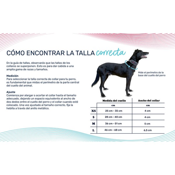 Dog collar Company of Animals Green