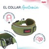 Koera kaelarihm Company of Animals Roheline