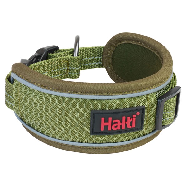 Dog collar Company of Animals Green