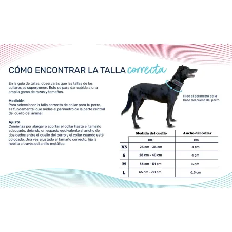 Dog collar Company of Animals Grey