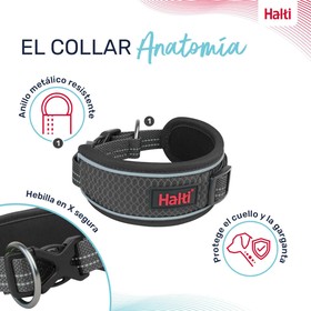 Dog collar Company of Animals Grey