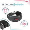 Dog collar Company of Animals Grey