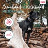 Dog collar Company of Animals Grey
